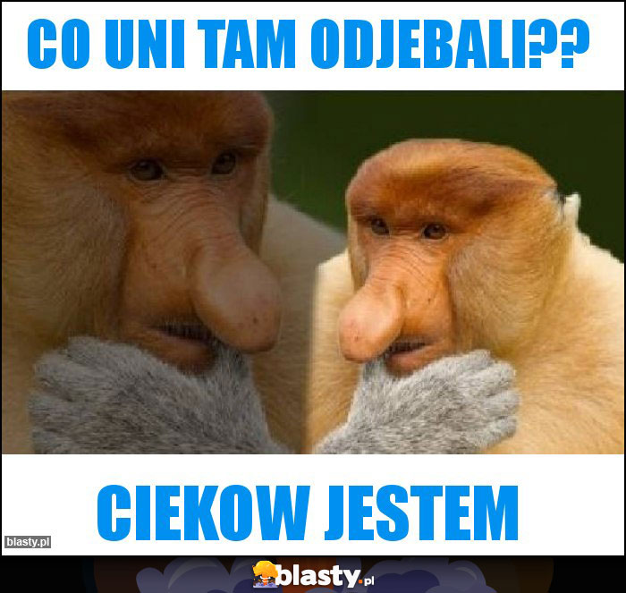 Co uni tam odjebali?? Co uni tam odjebali??