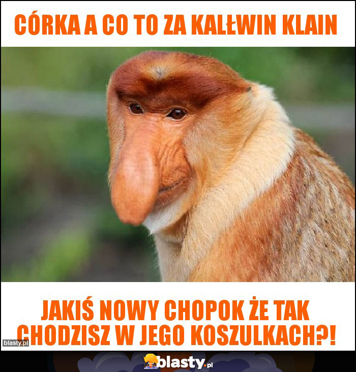 Córka a co to za kalłwin klain Córka a co to za kalłwin klain