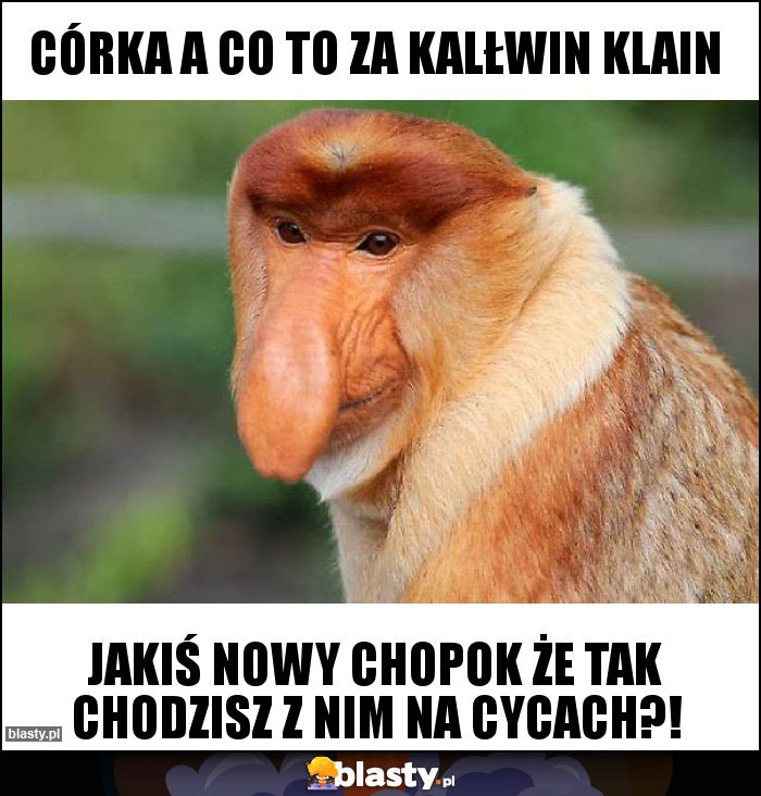 Córka a co to za kalłwin klain Córka a co to za kalłwin klain