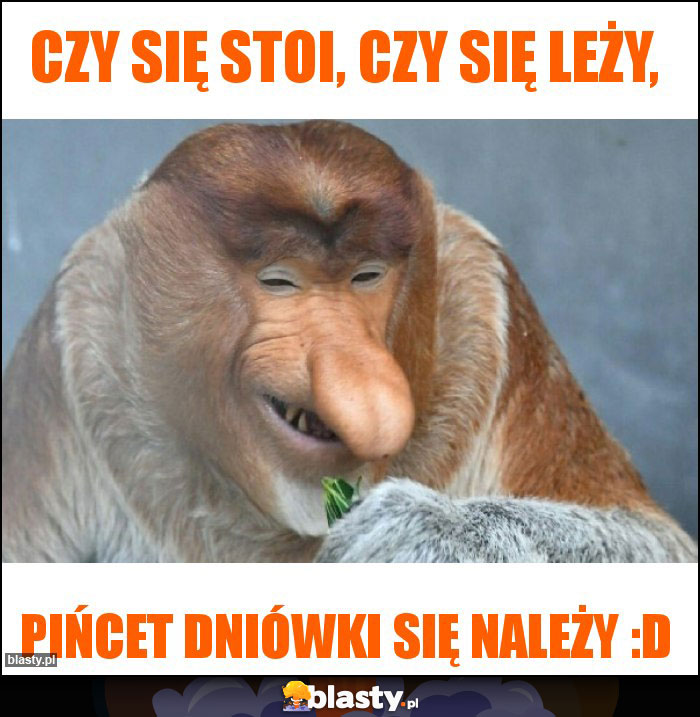 Czy się stoi, czy się leży, Czy się stoi, czy się leży,