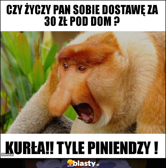 Czy życzy pan sobie dostawę za 30 zł pod dom ? Czy życzy pan sobie dostawę za 30 zł pod dom ?