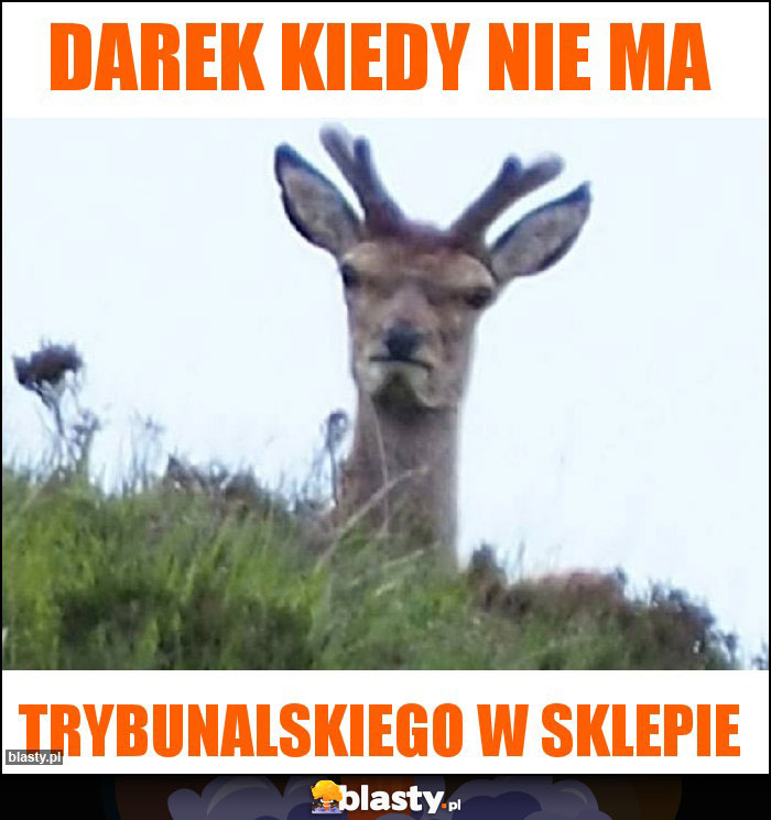 Darek kiedy nie ma Darek kiedy nie ma