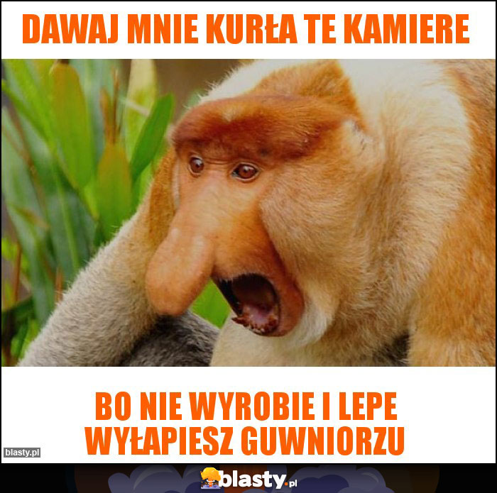 Dawaj mnie kurła te kamiere Dawaj mnie kurła te kamiere