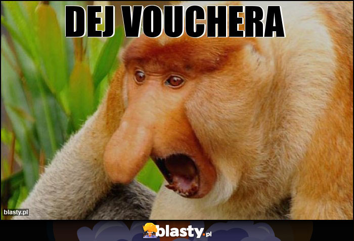 Dej vouchera Dej vouchera