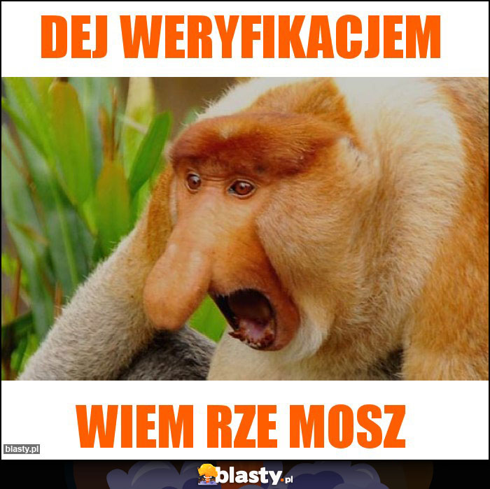 DEJ WERYFIKACJEM DEJ WERYFIKACJEM