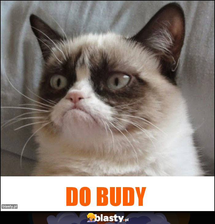 Do budy