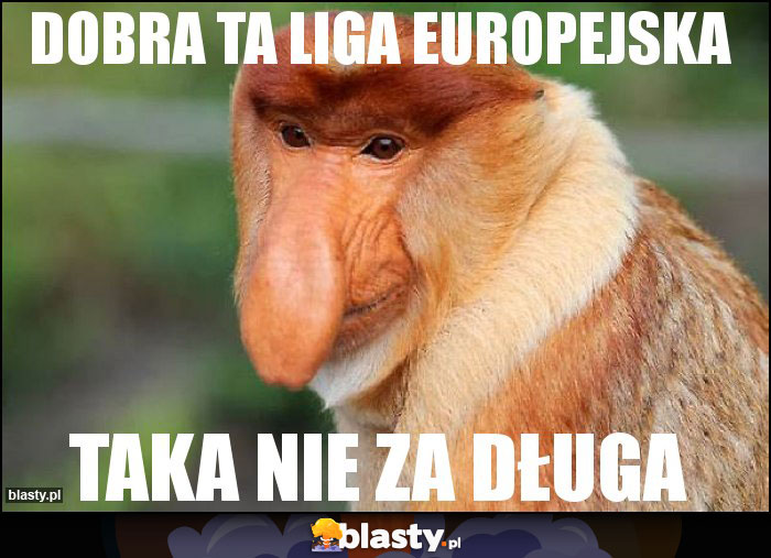 dobra ta liga europejska dobra ta liga europejska