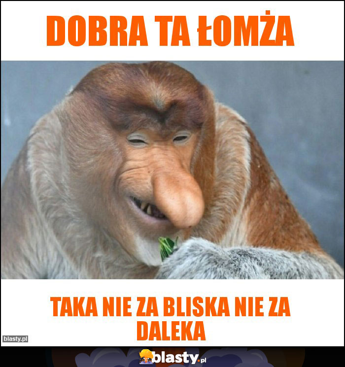 DOBRA TA ŁOMŻA DOBRA TA ŁOMŻA