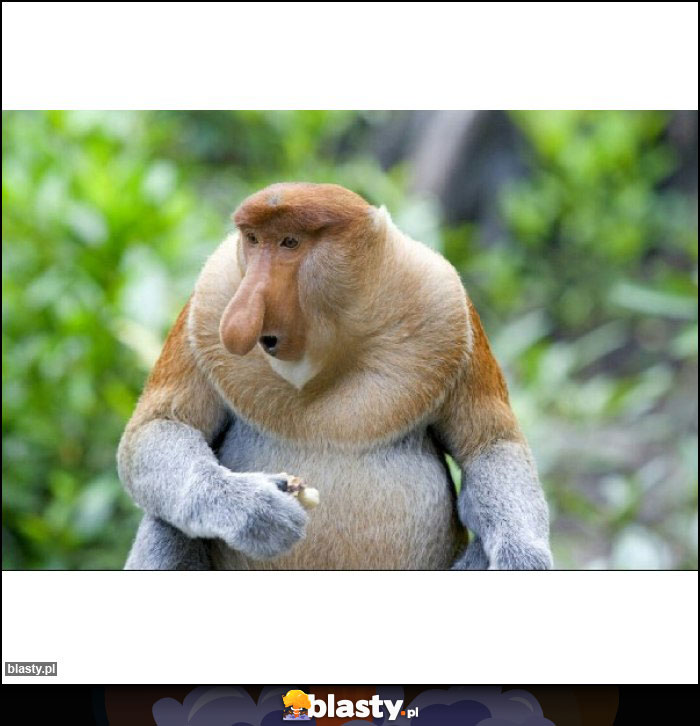 DOBRA TA PANAKOTA DOBRA TA PANAKOTA