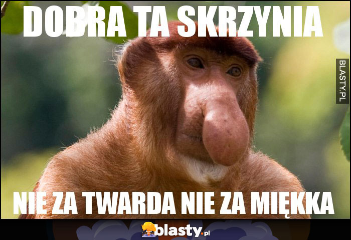DOBRA TA SKRZYNIA DOBRA TA SKRZYNIA
