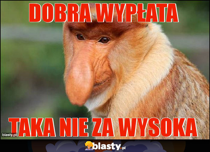 dobra wypłata dobra wypłata