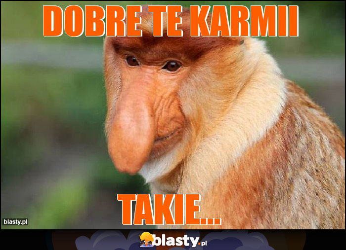Dobre te Karmii Dobre te Karmii