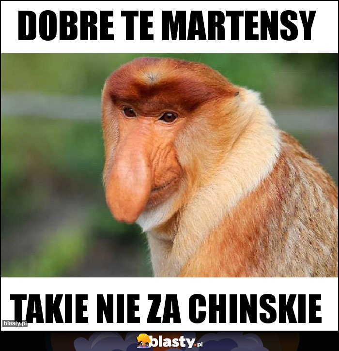 dobre te martensy dobre te martensy