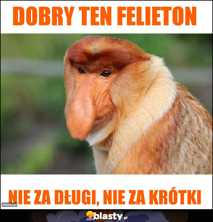 Dobry ten felieton Dobry ten felieton
