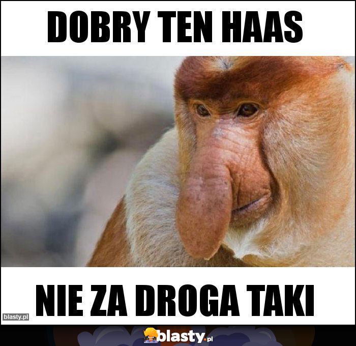 Dobry ten Haas Dobry ten Haas