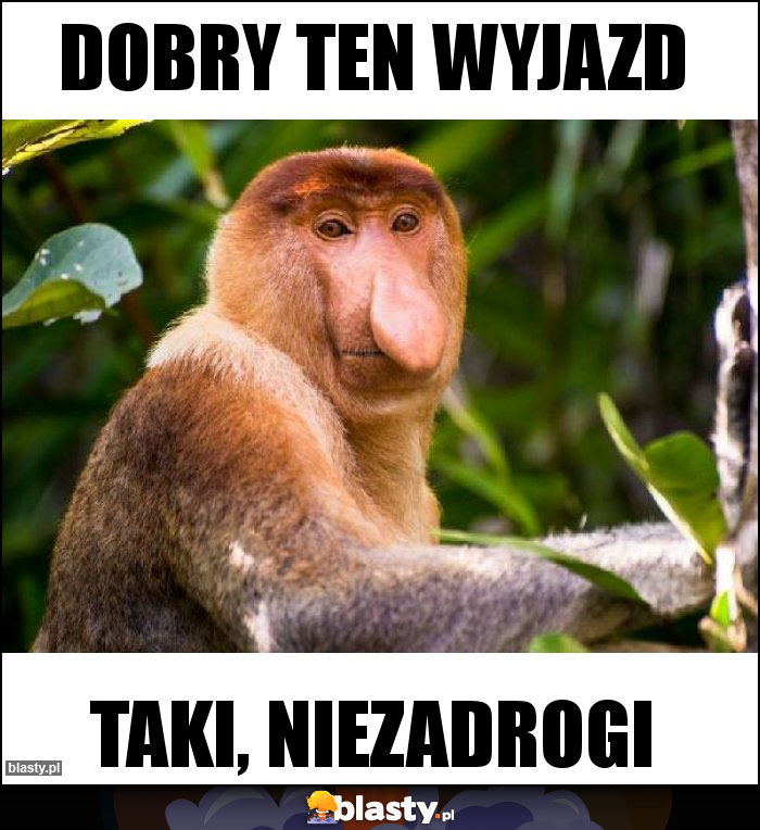 Dobry ten wyjazd Dobry ten wyjazd