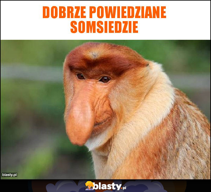 Dobrze powiedziane somsiedzie Dobrze powiedziane somsiedzie