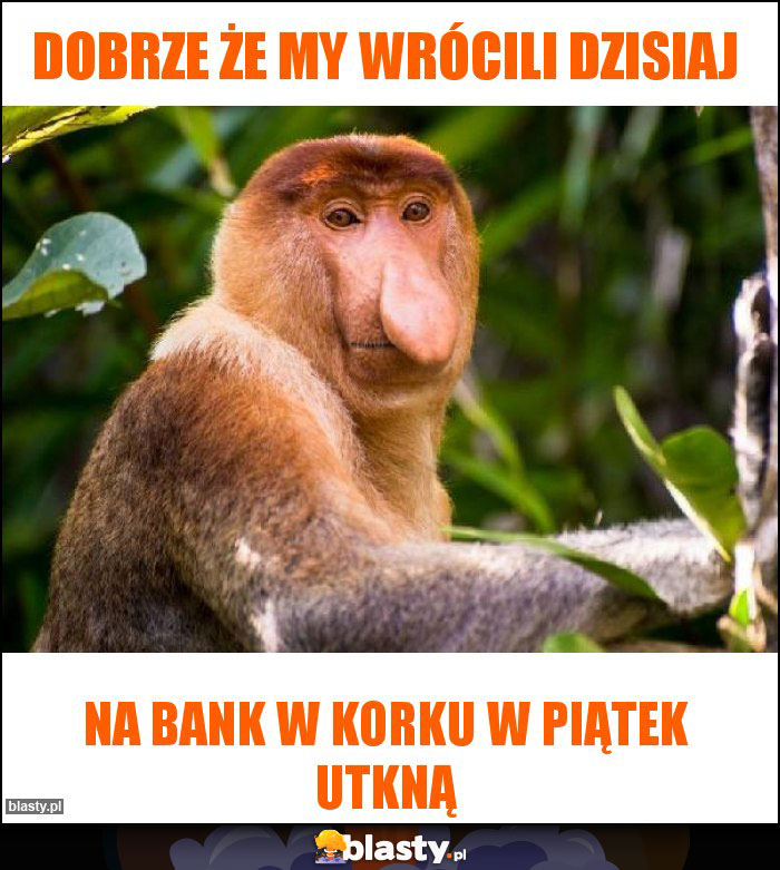 Dobrze że my wrócili dzisiaj