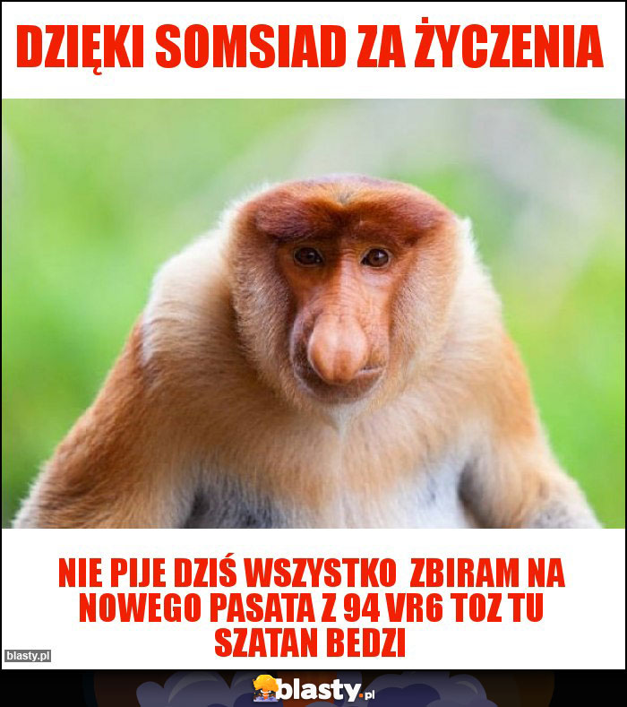 DziĘki somsiad za życzenia DziĘki somsiad za życzenia