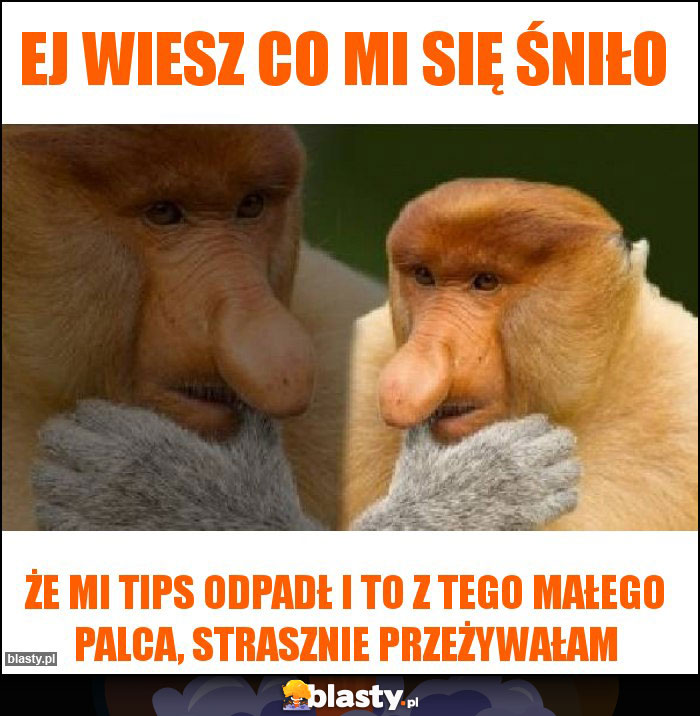Ej wiesz co mi się śniło