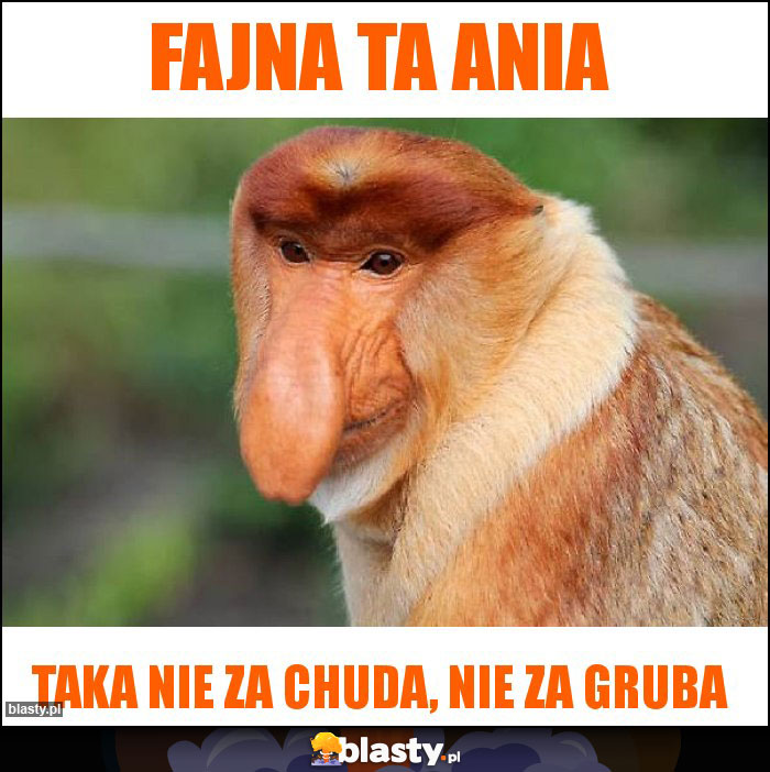 FAJNA TA ANIA FAJNA TA ANIA
