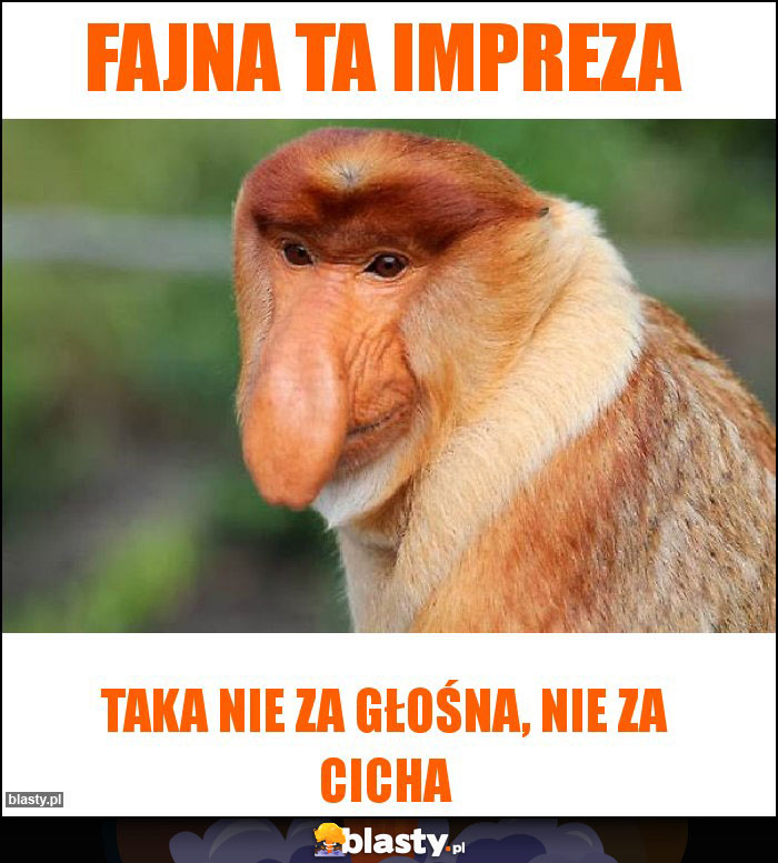 Fajna ta impreza Fajna ta impreza