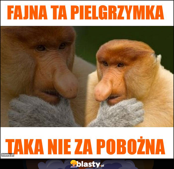 Fajna ta pielgrzymka Fajna ta pielgrzymka