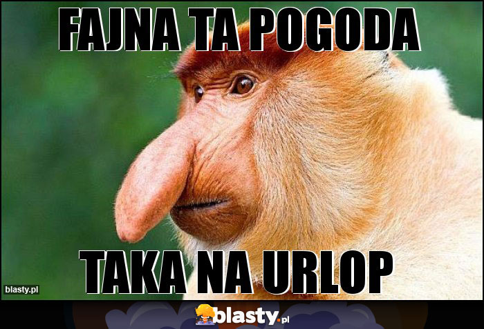 Fajna ta pogoda Fajna ta pogoda