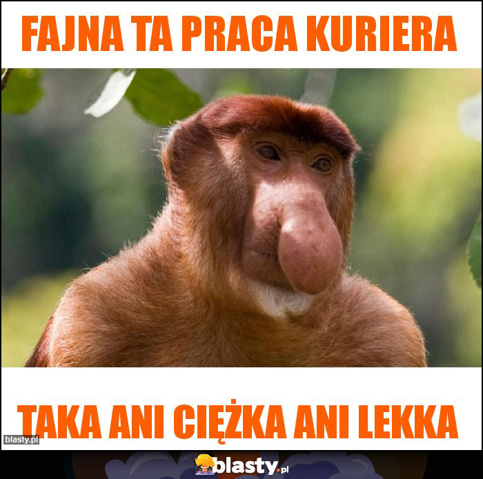 Fajna ta praca kuriera