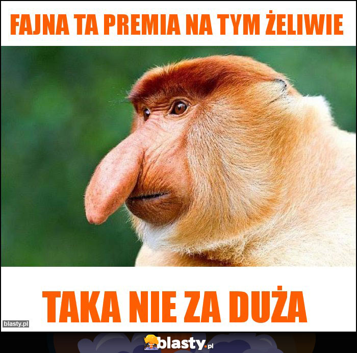 FAJNA TA PREMIA NA TYM ŻELIWIE FAJNA TA PREMIA NA TYM ŻELIWIE