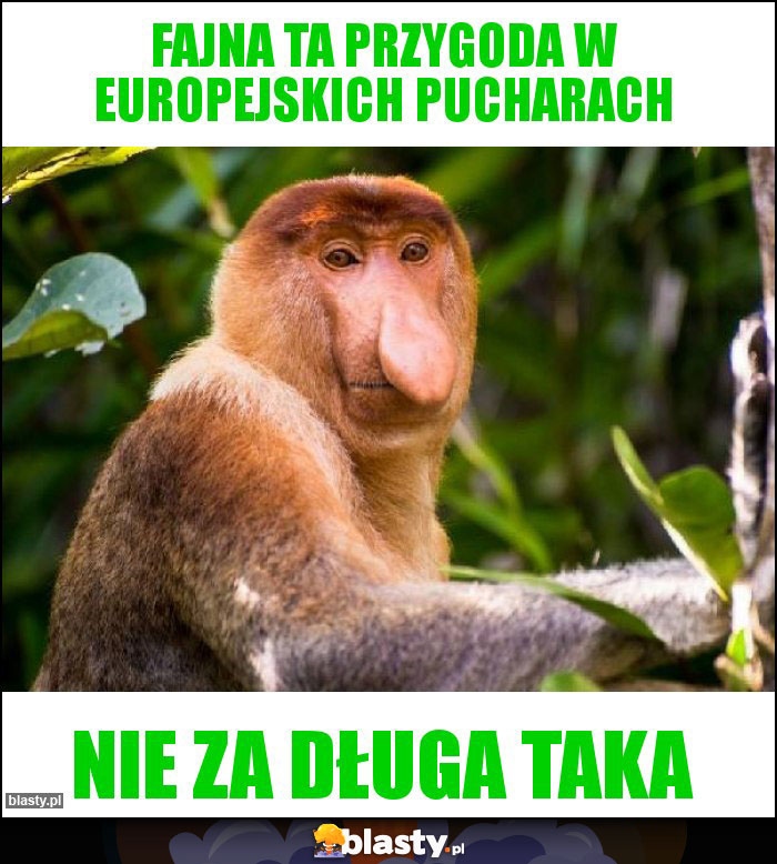 Fajna ta przygoda w europejskich pucharach Fajna ta przygoda w europejskich pucharach