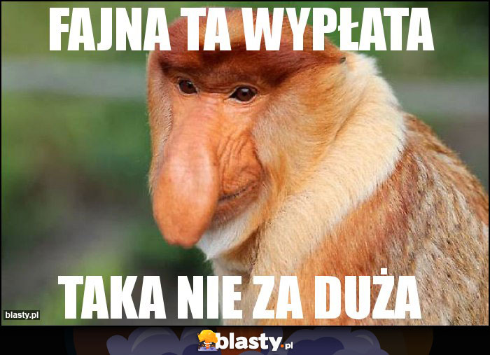 Fajna ta wypłata