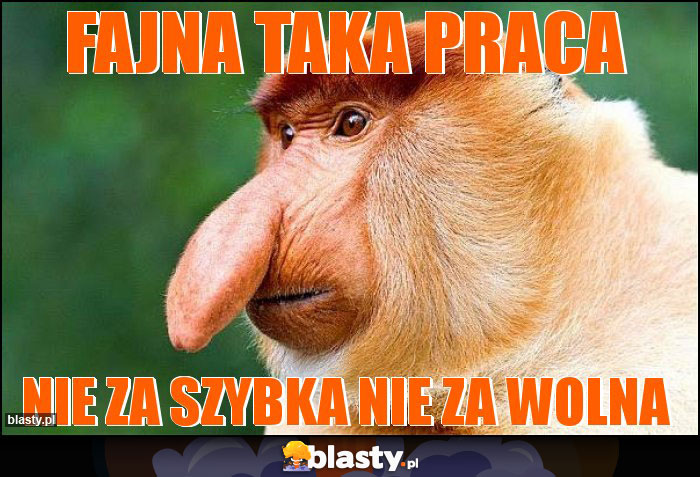 FAJNA TAKA PRACA FAJNA TAKA PRACA