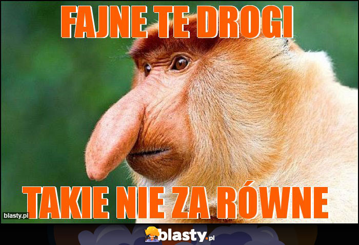 Fajne te drogi Fajne te drogi
