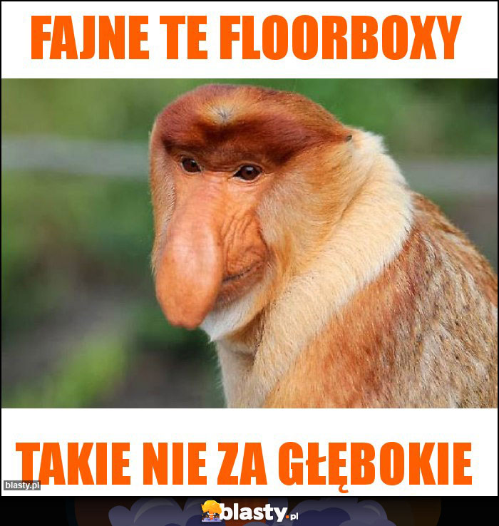 Fajne te floorboxy Fajne te floorboxy