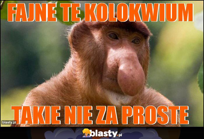 FAJNE TE KOLOKWIUM