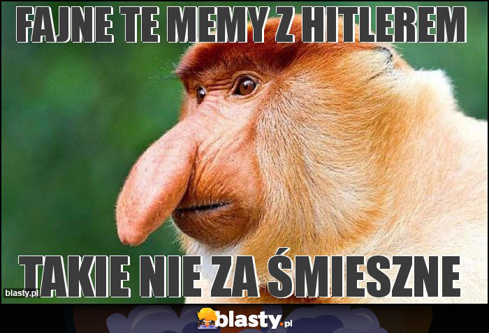 Fajne te memy z hitlerem