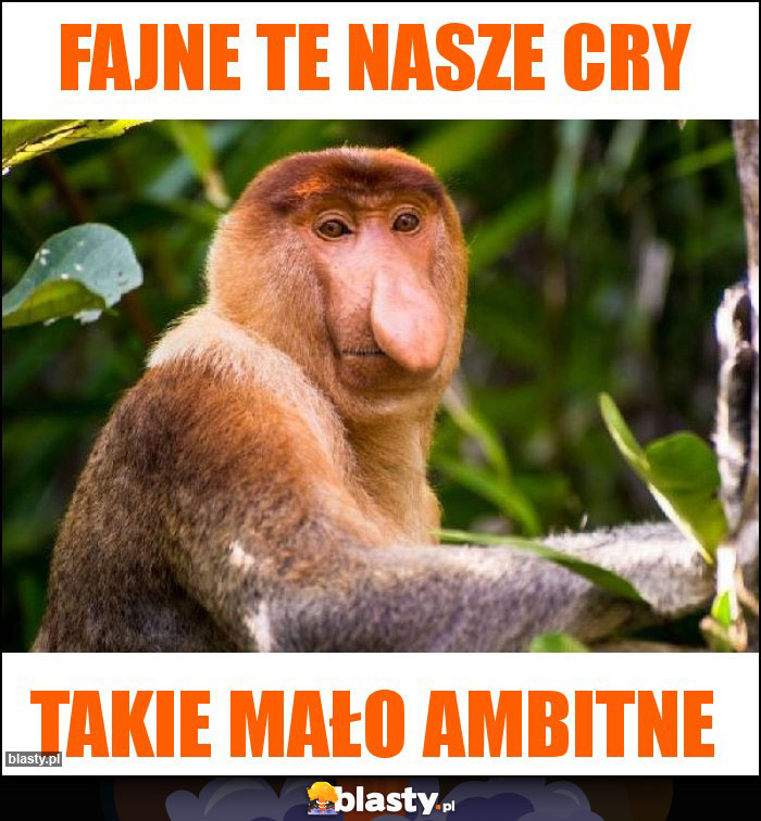 Fajne te nasze CRy Fajne te nasze CRy