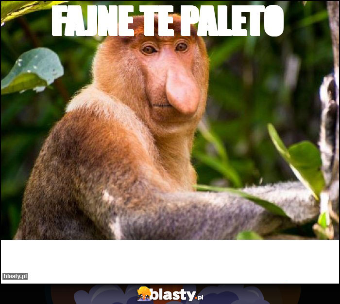 Fajne te paleto Fajne te paleto