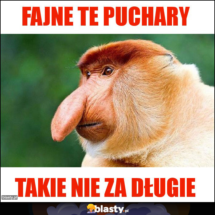 FAJNE TE PUCHARY