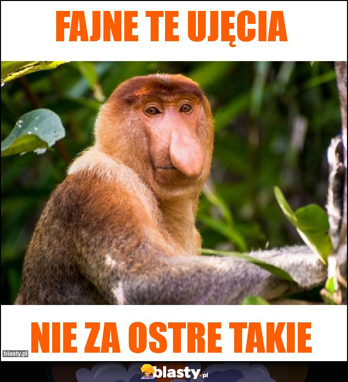 FAJNE TE UJĘCIA