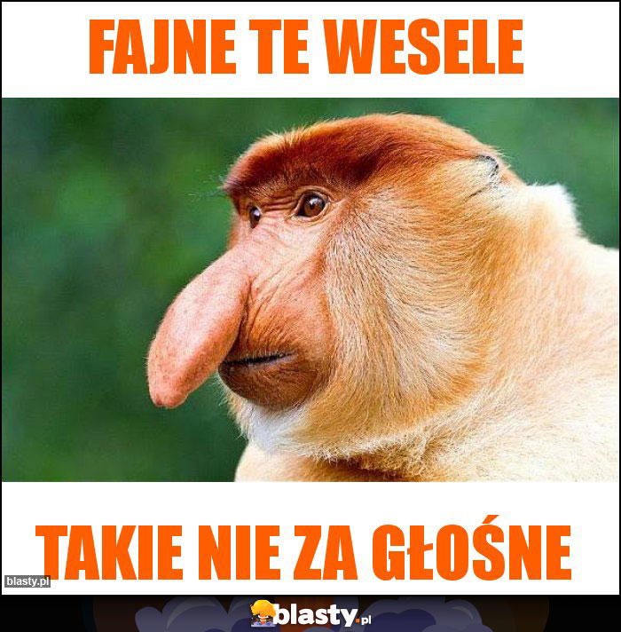 Fajne te wesele