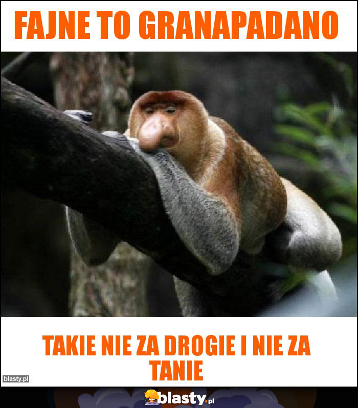 Fajne to granapadano Fajne to granapadano