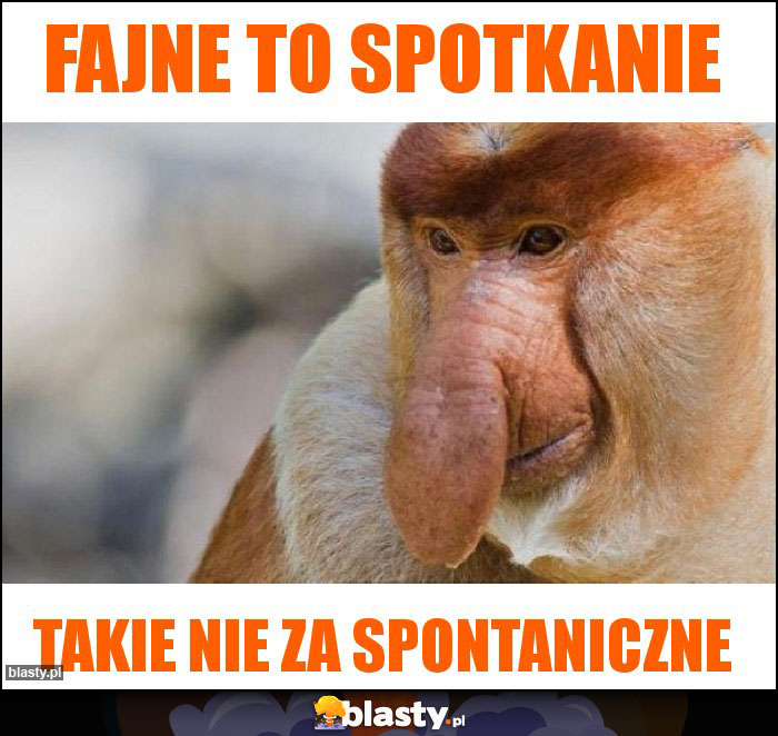 FAJNE TO SPOTKANIE FAJNE TO SPOTKANIE