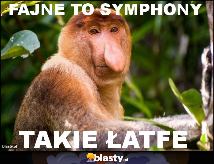 fajne to symphony fajne to symphony