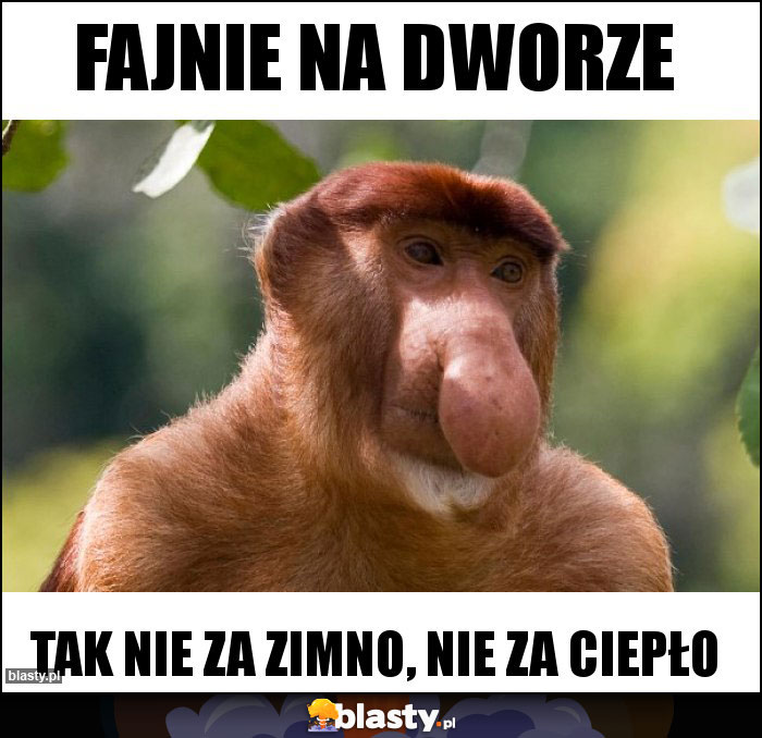 Fajnie na dworze Fajnie na dworze