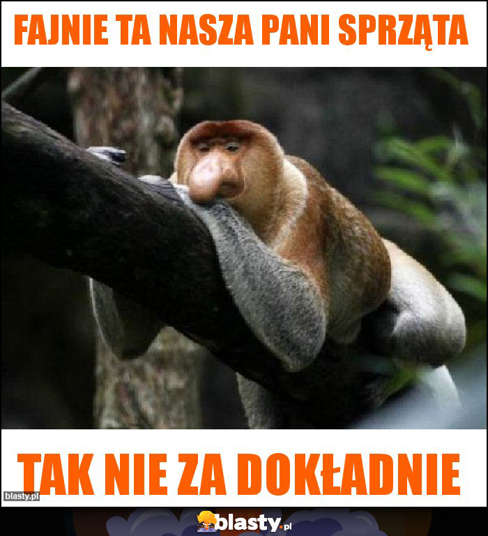 Fajnie ta nasza pani sprząta Fajnie ta nasza pani sprząta