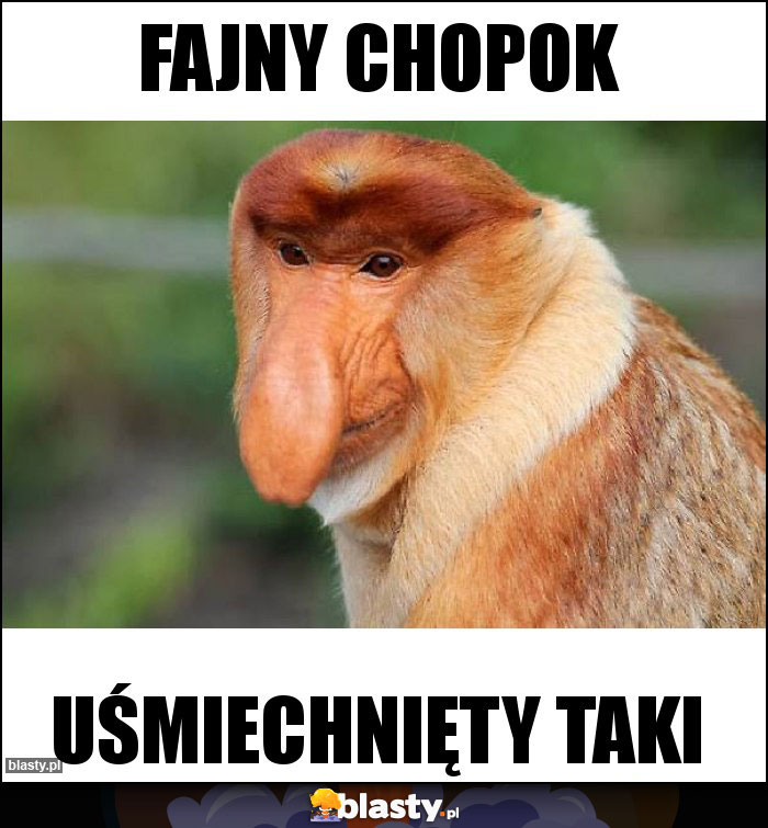 Fajny chopok Fajny chopok