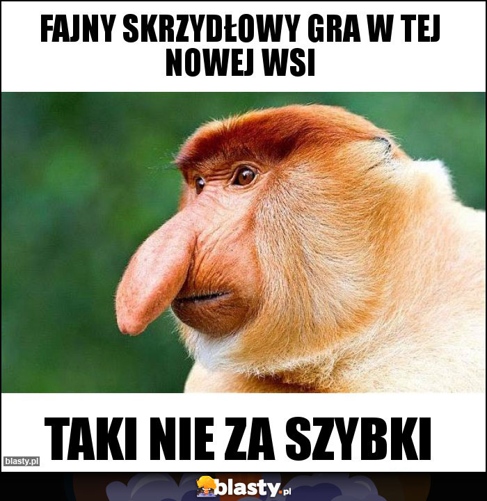 Fajny skrzydłowy Gra w tej nowej wsi