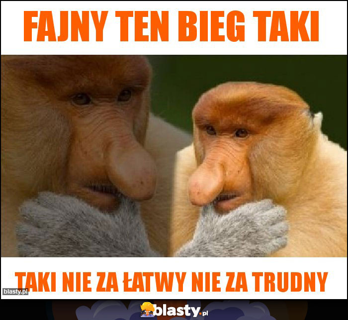 Fajny ten bieg taki Fajny ten bieg taki